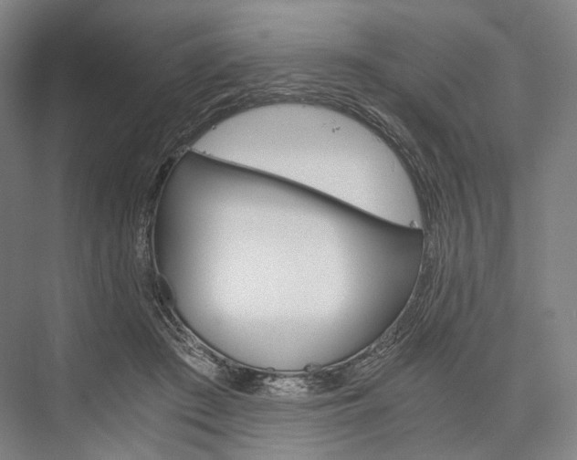 X0000076390409200610060909