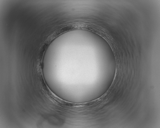 X0000076390411200610060909