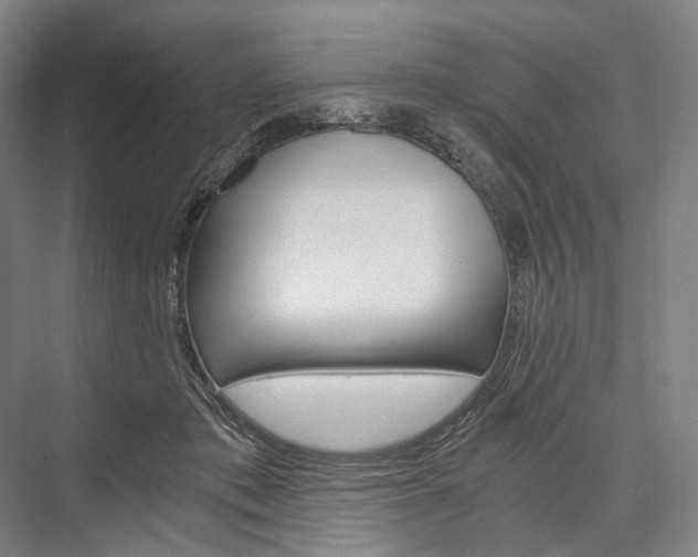 X0000076390413200610060909