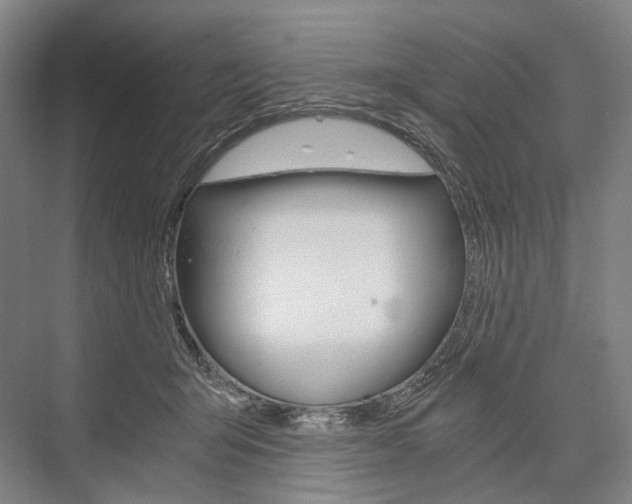 X0000076390415200610060909