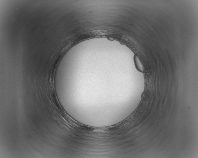 X0000076390418200610060909