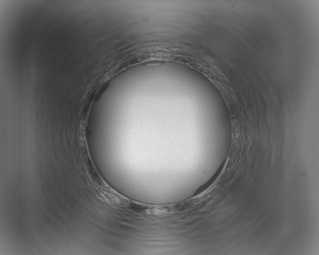 X0000076390419200610060909