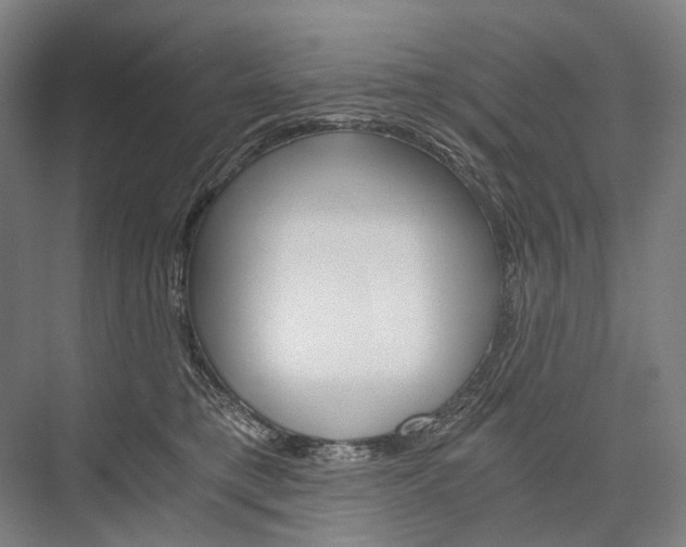 X0000076390421200610060909