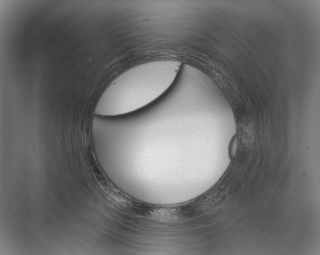 X0000076390422200610060909