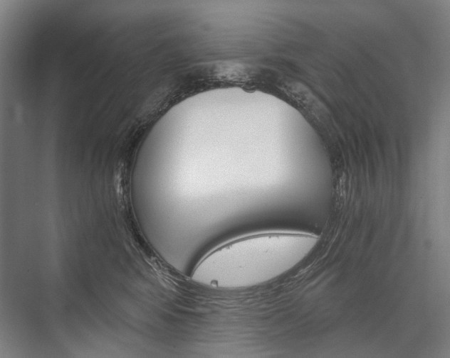 X0000076390424200610060908