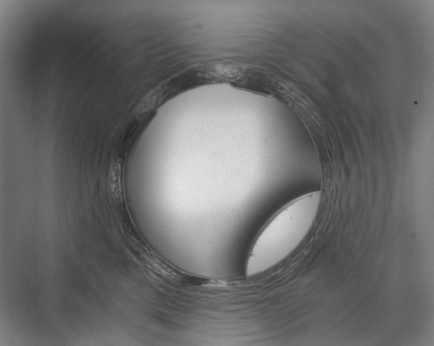 X0000076390425200610060908
