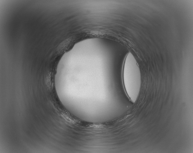 X0000076390428200610060908