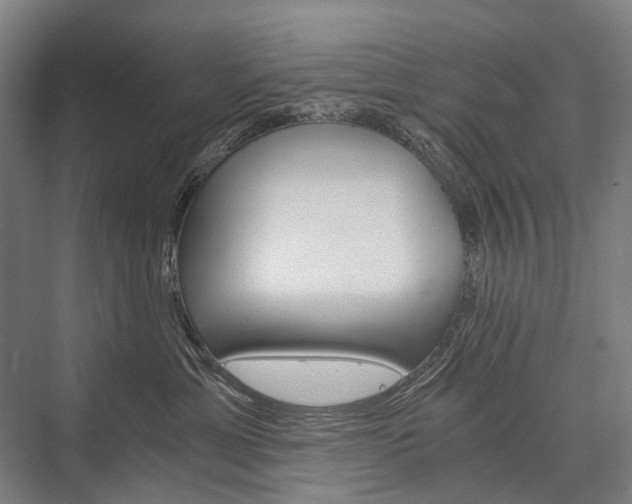 X0000076390429200610060908