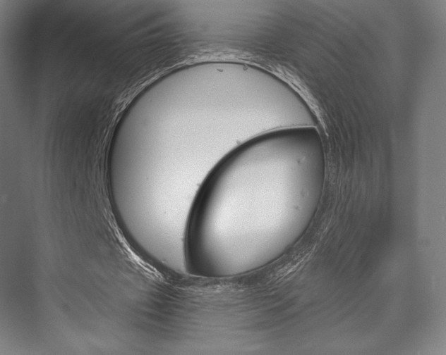 X0000076390433200610060908