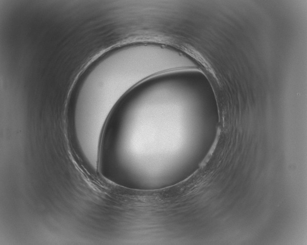X0000076390436200610060908