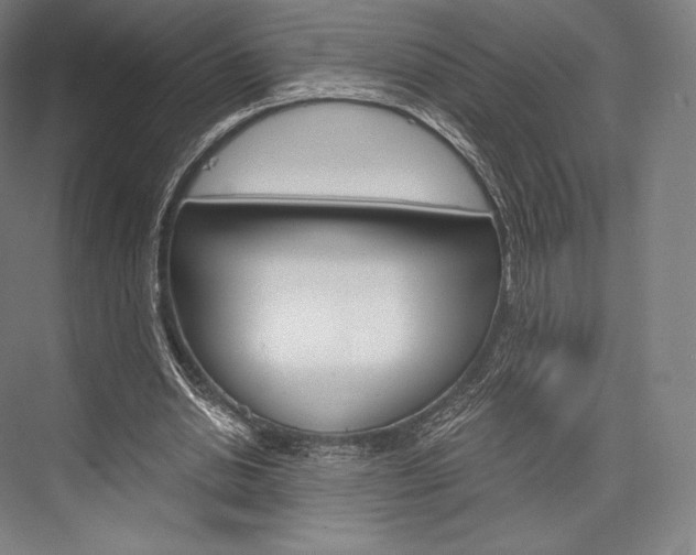 X0000076390438200610060908