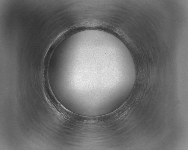 X0000076390440200610060908