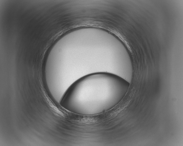 X0000076390445200610060908