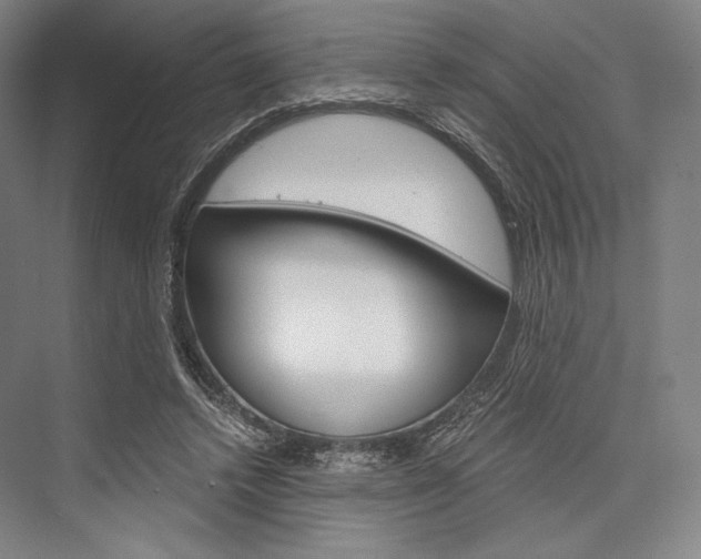 X0000076390448200610060908