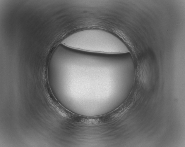 X0000076390449200610060908