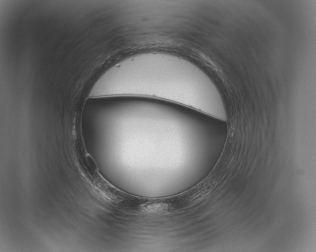 X0000076390452200610060908