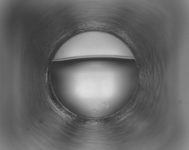 X0000076390454200610060908