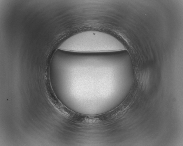 X0000076390455200610060908