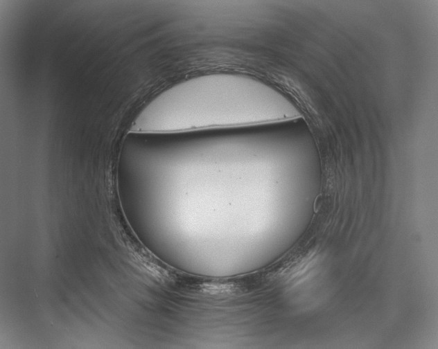 X0000076390457200610060908