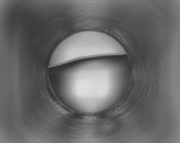 X0000076390458200610060908