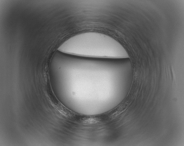 X0000076390460200610060908