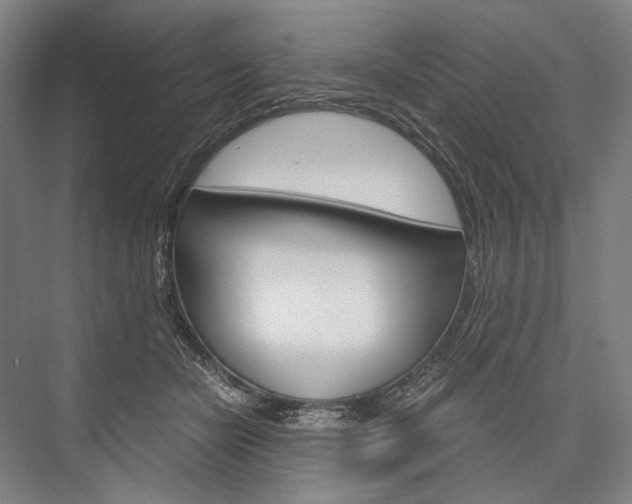 X0000076390462200610060908