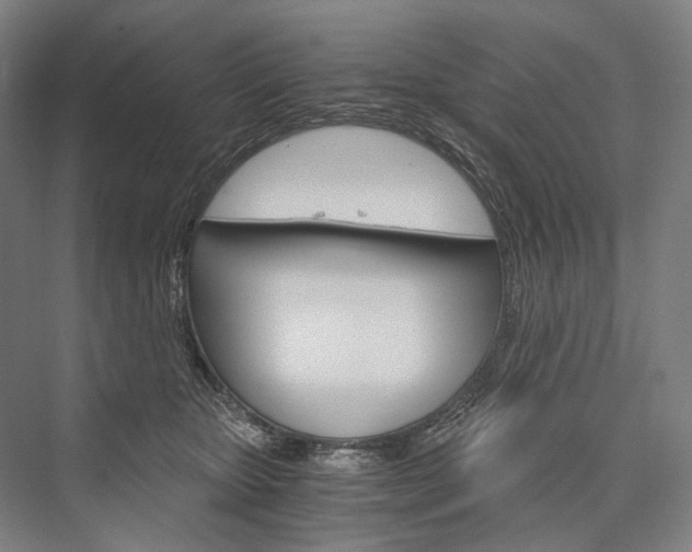 X0000076390467200610060908