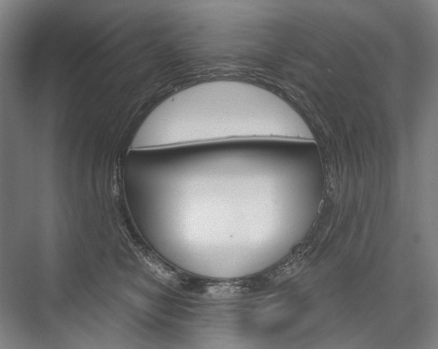 X0000076390470200610060908