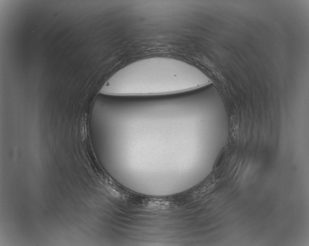 X0000076390471200610060908