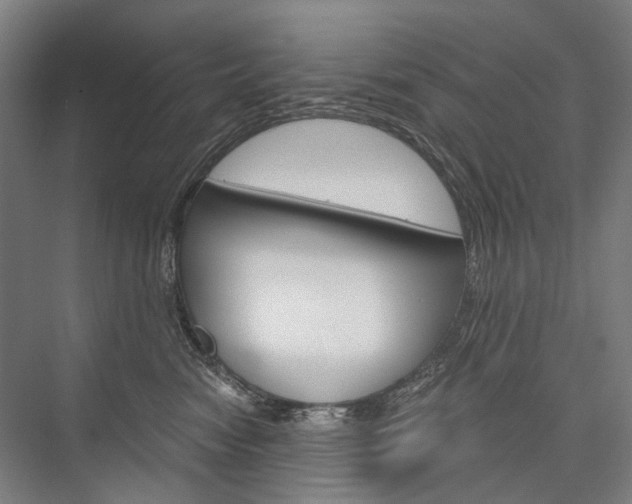 X0000076390474200610060908