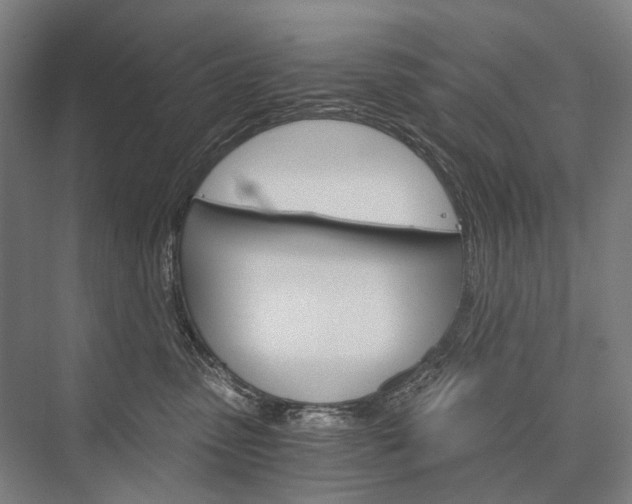 X0000076390475200610060908