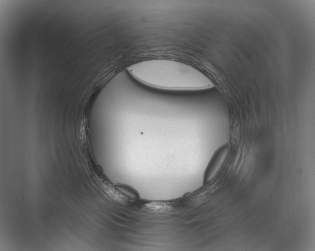 X0000076390477200610060908