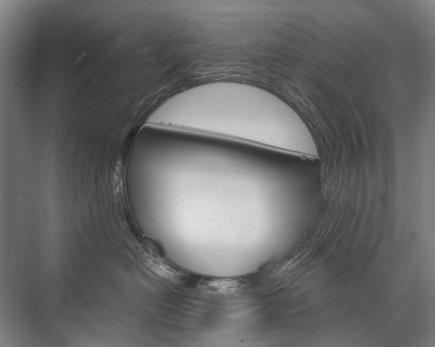 X0000076390478200610060908