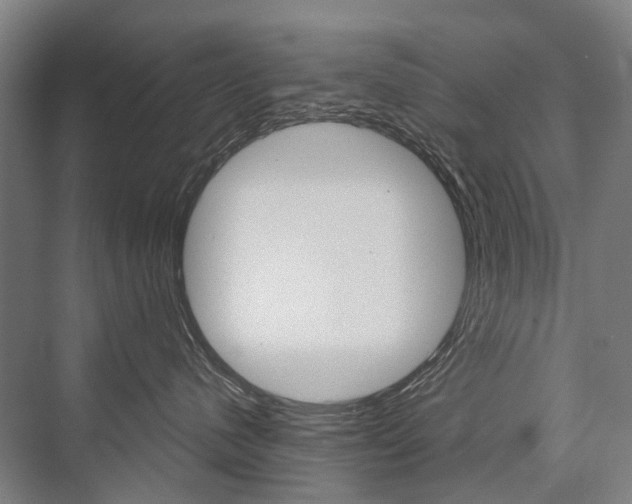 X0000076390480200610060908