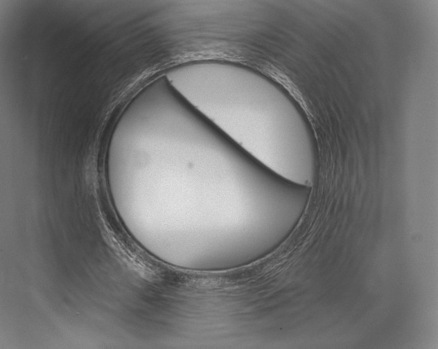 X0000076390482200610060907