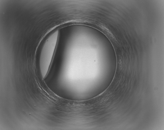 X0000076390484200610060907