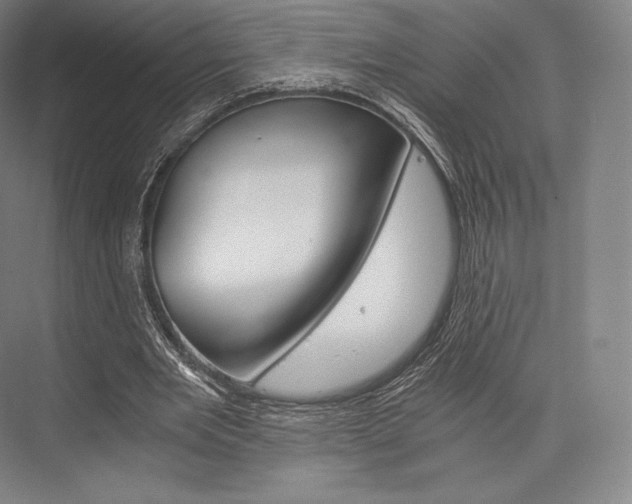 X0000076390485200610060907