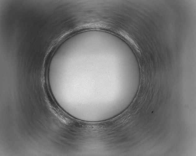 X0000076390486200610060907