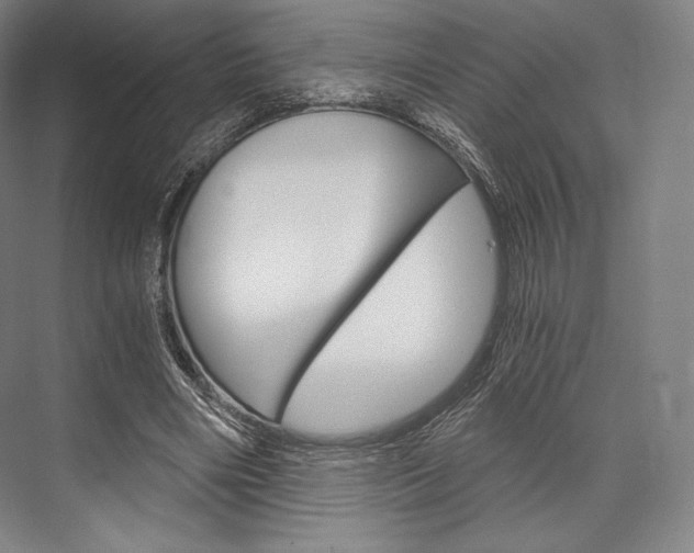 X0000076390490200610060907