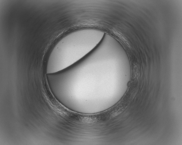 X0000076390494200610060907