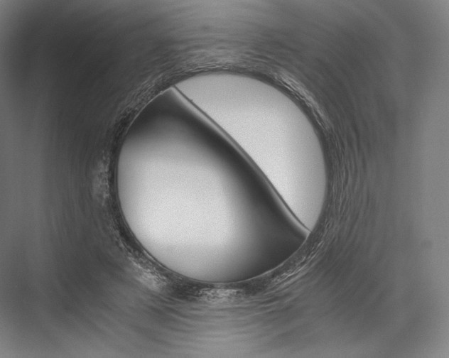 X0000076390497200610060907