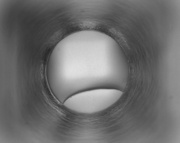 X0000076390498200610060907