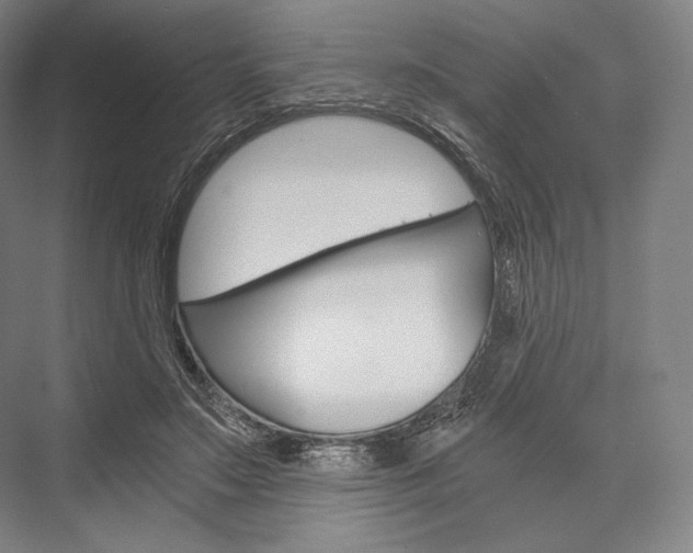 X0000076390499200610060907