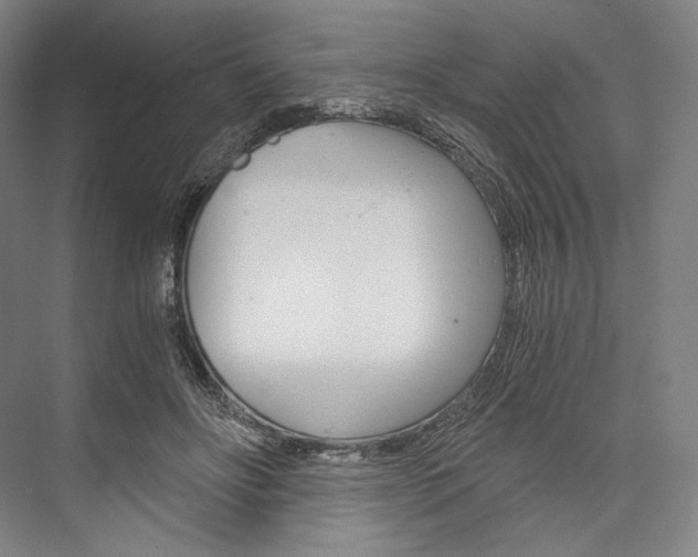 X0000076390502200610060907