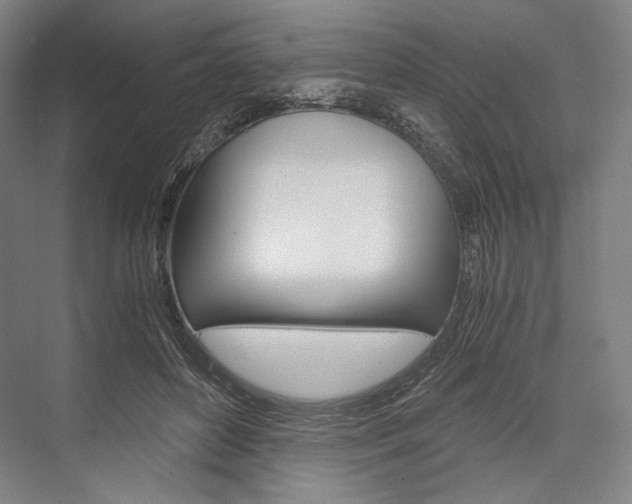 X0000076390504200610060907