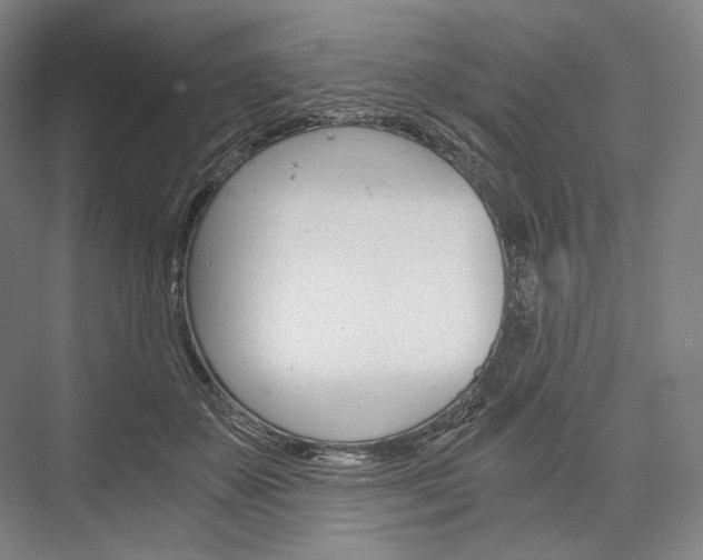 X0000076390507200610060907