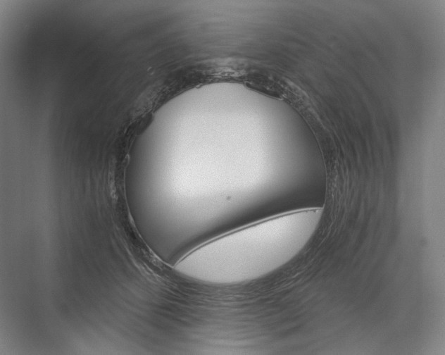 X0000076390512200610060907