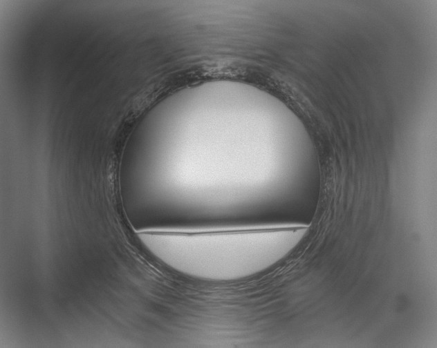 X0000076390513200610060907