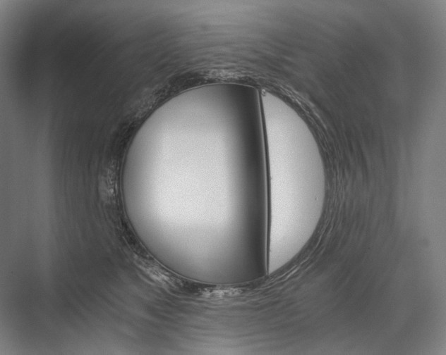 X0000076390517200610060907