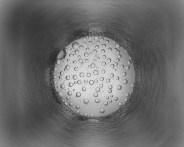X0000076390519200610060907
